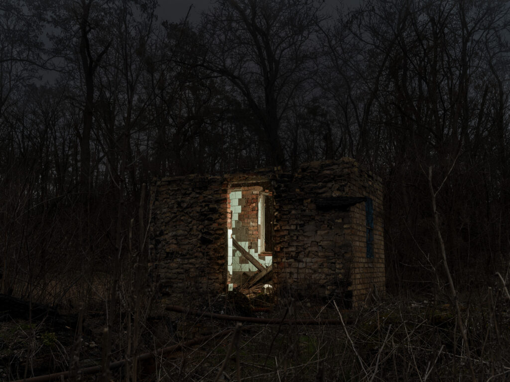 A travers les fissures 022