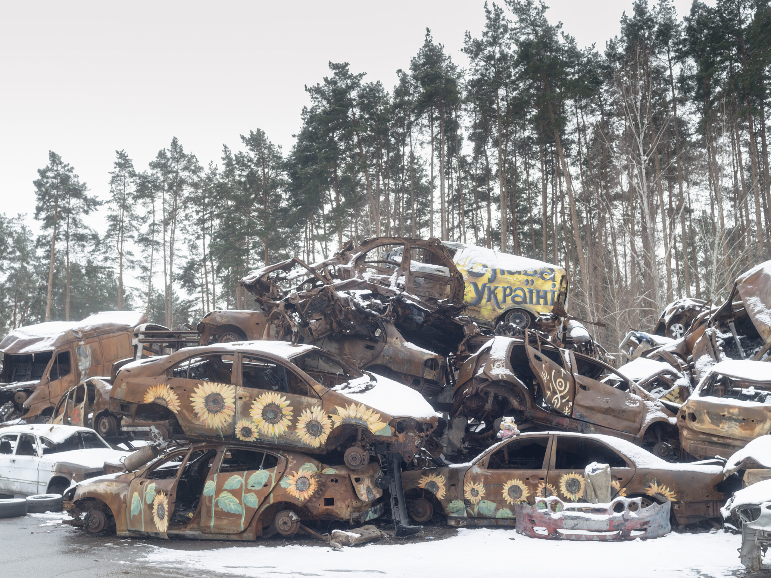 Des voitures calcinées et recouvertes de peintures sont empilées en plusieurs couches à la lisière d'une forêt.